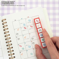 こどものかお Nスヌーピー ポチッとシックス 天気を記録柄 2221-001 1個（直送品）