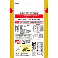 無一物 寒天ゼリータイプ まぐろ 国産 40g 1セット（1袋×12）はごろもフーズ キャットフード ウェット パウチ