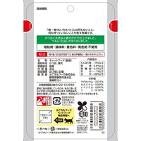 無一物 寒天ゼリータイプ かつお 国産 40g 1セット（1袋×4）はごろもフーズ キャットフード ウェット パウチ