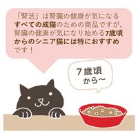 腎活 1歳頃からシニア猫まで まぐろとかつおペースト 国産 40g 1セット（1袋×12）アイシア キャットフード 猫用