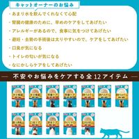 i CARE（アイケア）食物アレルギーケア ささみスープ 国産 35g 1セット（1袋×6）アイシア キャットフード