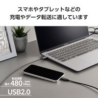 タイプCケーブル 2本セット ( USB-C to C ) 1m PD 60W 黒 MPA-CCTW10BK エレコム 1個（直送品）