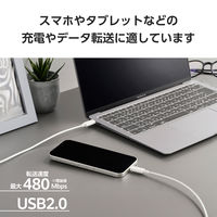 タイプCケーブル 2本セット ( USB-C to C ) 1m PD 60W 白 MPA-CCTW10WH エレコム 1個（直送品）