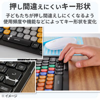KEY PALETTO Folio 交換用キーボード TK-KP13UMBKK エレコム 1個（直送品）