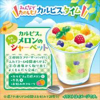 カルピス芳醇メロンプラスチックボトル ＜希釈用＞470ml 1セット（24本）