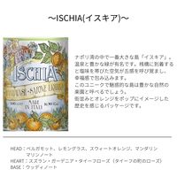 ル・マヨルカビューティー ボディクリーム イスキアの香り 450ml ギフト 母の日