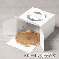 サガシキ 白ムジデコ箱5号 H130 4582673771853 1セット(1袋(25枚入)×12)（直送品）