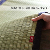 イケヒコ 沖縄ビーグ い草ラグ 2000×1280mm ネイビー 1050681191703 1枚（直送品）