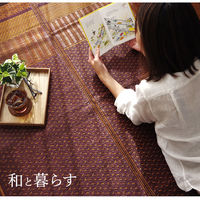 イケヒコ ランクス 花ござ 江戸間2畳 1740×1740mm ネイビー 1080020190202 1枚（直送品）