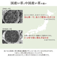 イケヒコ 大自然 花ござ 江戸間4.5畳 2610×2610mm 海 1080330040502 1枚（直送品）
