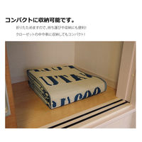 イケヒコ トリド ポリプロピレンカーペット 江戸間2畳 1740×1740mm 1090300003604 1枚（直送品）