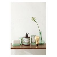 パニエデサンスアブソリュートジャスミンハンドクリーム75mL 4517161144116 1セット(60個)（直送品）