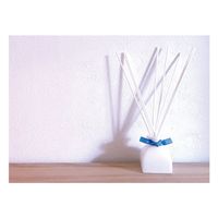 ホワイトノート リードディフューザー50mL マリン(アロマの本場イギリスで調香されたトロピカルな香り) 4517161153248（直送品）