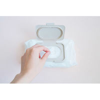 ビタットジャパン ビタット抗菌 MP ピカチュウ&ミミッキュ WT&BK(P) 4562384608358 1セット(240個)（直送品）