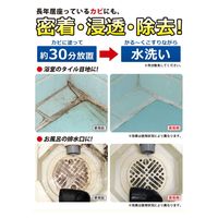 アイメディア カビ取り剤 160g 業務用スカッとカビ取りジェル 403877 1個（直送品）