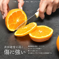 【軒先渡し】B.Bファニシング セラビル カウンターテーブル 幅900×奥行400×高さ900mm CETB0274CELGY 1台（直送品）