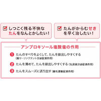 コルゲンコーワ IB透明カプセルαプラス 30カプセル 興和 総合かぜ薬 発熱 のどの痛み【指定第2類医薬品】