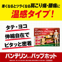 バンテリンコーワパップホット 12枚 興和 温感タイプ 肩こり痛 腰痛 膝痛 高伸縮 高粘着【第2類医薬品】