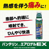 バンテリンコーワエアロゲルEX 120ml 興和 筋肉痛 関節痛 打撲 捻挫【第2類医薬品】