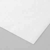 （限定）抗菌・防カビ カウンタークロス レギュラー 約30×60cm ホワイト 1セット（1パック（100枚入）×5）帝人フロンティア オリジナル