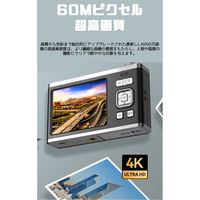 エーインサイト 4Kダブル液晶光学ズーム付きコンパクトデジタルカメラ AI-DL01 1台（直送品）