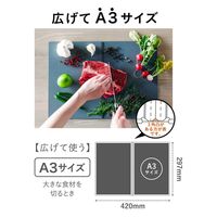 シービージャパン まな板 L 折り畳み atomico 立てて乾かせるまな板 食洗機対応 日本製 436175 1個（直送品）