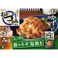おかづまみの逸品　豚のネギ塩焼き 3個 ハウス食品 簡便　時短　料理の素