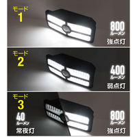 大進 人感 センサーライト ソーラーライト 屋外 防雨 LED DLS-WL010 1セット（1台×2）（直送品）