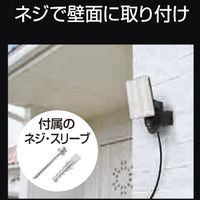 大進 センサーライト AC 100V コンセント式 屋外用 2灯式 LED 防雨 人感 暗くなると点灯 防犯ライト（直送品）
