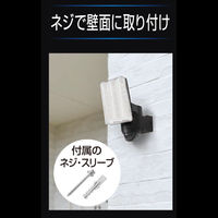 大進 センサーライト ソーラータイプ 屋外用 1灯式 1セット（1台×2）（直送品）