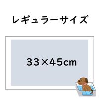 しつけるシーツ 薄型 レギュラー 国産 100枚入 1セット（1袋×8）ボンビアルコン 犬用