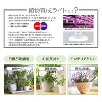オーム電機 植物育成ライト 差し込み式 06-5237 1個（直送品）