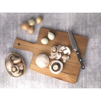 TRAMONTINA カッティングボード 手付大 13277/351 1枚（直送品）