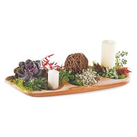 TRAMONTINA デコレーションディッシュ チーク 54×24cm 13421/051 1個（直送品）