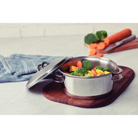 トラモンティーナ キャセロール 20cm 62503/200 1個（直送品）