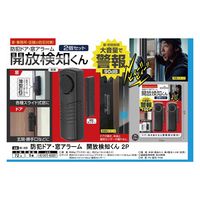インターベース 防犯ドア・窓アラーム開放検知くん2個セット IB-309 1パック（直送品）