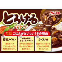 とろけるハヤシ 140g 1個 エスビー食品 ハヤシライスルウ