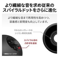 JVCケンウッド イヤーピース EP-FX12L EP-FX12ML-B 1セット（直送品）