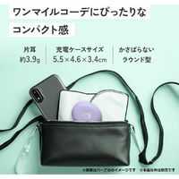 JVCケンウッド 完全ワイヤレスイヤホン HA-A6T HA-A6T-V 1個（直送品）