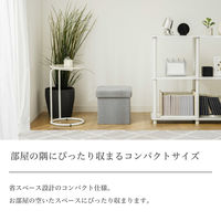 武田コーポレーション コンパクト収納スツール M4-CDS30BGY 1箱(6個入)（直送品）