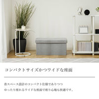 武田コーポレーション コンパクト収納スツール ワイド M4-CDS60BWH 1箱(6個入)（直送品）