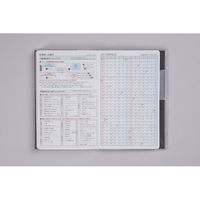 高橋書店 【2025年4月版】T'beauインデックス2 手帳判 見開き1週間 月曜始まり ブラック 652 1冊（直送品）