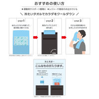 サーモス スポーツ保冷バッグ 3L ベージュ REYー0031 BE 1個