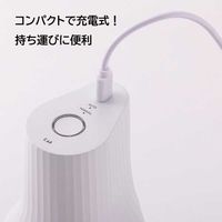 貝印 電動 泡立て器 生クリームホイッパー 000DK5150 1個