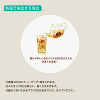 日東紅茶 水出しアイスティー アールグレイ 1セット（1袋（20バッグ入）×3） 紅茶 たっぷりサイズ 500ml用