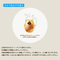 日東紅茶 水出しアイスティー アップルルイボスティー 1セット（1袋（10バッグ入）×3） ノンカフェイン