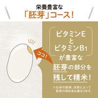 象印マホービン 精米機 BR-WB10-WA 1個