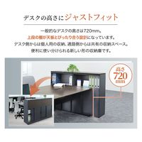 ネットフォース ワークプロ キャビネット 天板・幕板なし シリンダー錠 スチール書庫 ブラック WPC-08-AW-BK 1台（直送品）