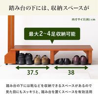 【軒先渡し】萩原 手摺り付き玄関踏み台 VH-7938LBR-W 1台（直送品）