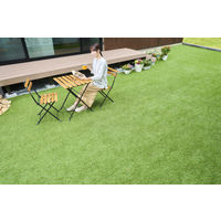 アイリスオーヤマ 防草人工芝　1ｍ×5ｍ BPー3015R 1枚 防草・防カビ機能付き